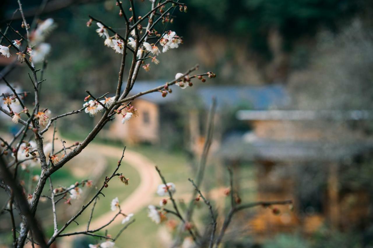 House By Lake Hotel Moc Chau Bagian luar foto